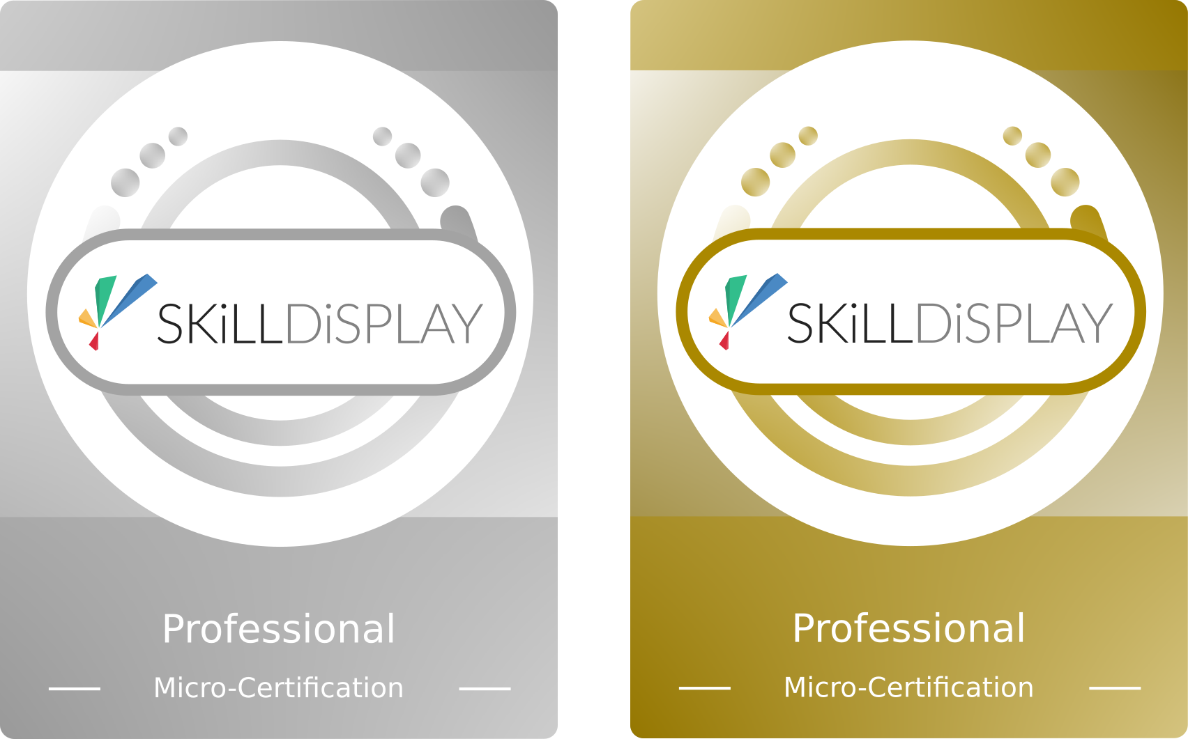 Silber und Gold Micro-Certification Badge für den SkillDisplay Certified Professional, womit ausgewiesen wird, dass der/die Nutzer/in verifiziertes Training oder praktische Erfahrung (Silber) oder beides (Gold) zusätzlich zur Zertifizierung hat
