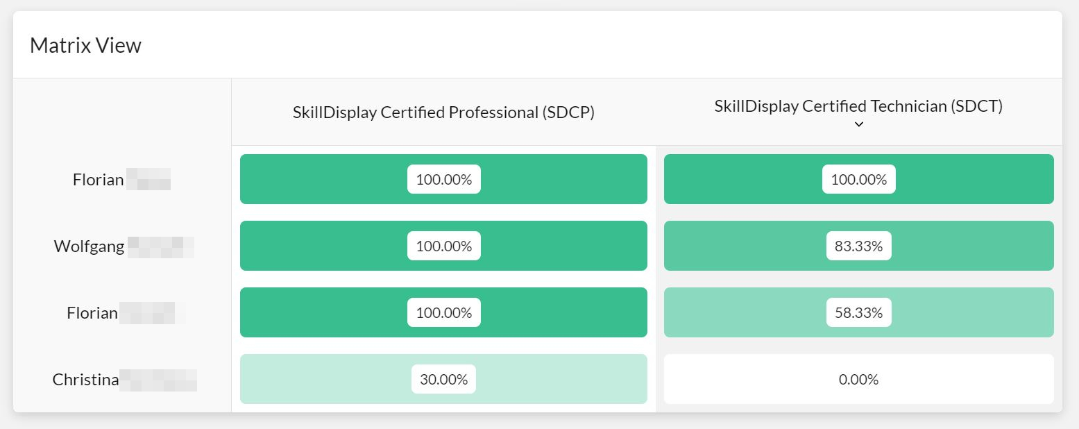 A matrix view indicating the proficiency of four individuals for specific units-of-work (aka SkillSets)