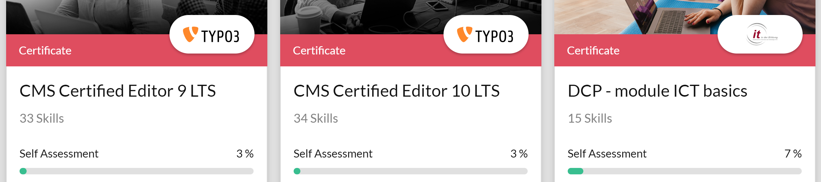The SkillDisplay interface showing 3 certification SkillSets which are suggested to the user