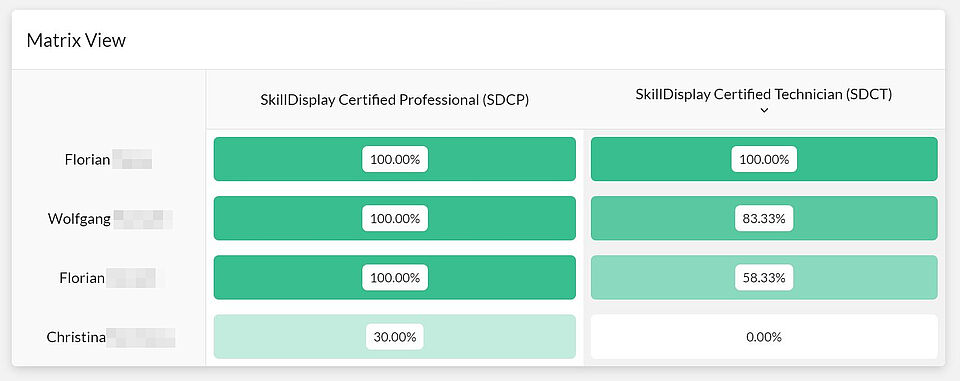 SkillDisplay Statistics Matrix View A matrix view indicating the proficiency of four individuals for specific units-of-work (aka SkillSets)