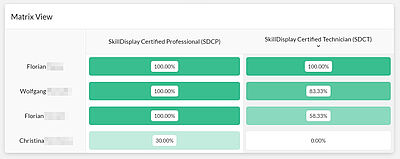 A matrix view indicating the proficiency of four individuals for specific units-of-work (aka SkillSets)