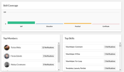 Organization statistics screen showing 3 sections. The top section shows bar charts with the skill distribution for personal development, educational verification, practical experience and certification. the bottom section shows the number of verifications per member and the top skills.